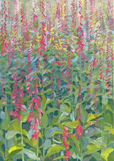 Foxgloves by Leigh Glover